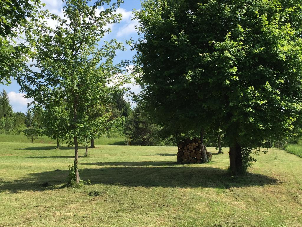 Holiday Homes Vita Natura Rakovica Zewnętrze zdjęcie